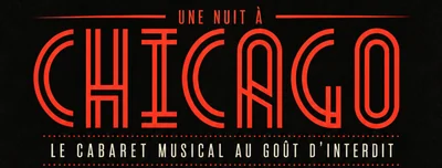 Visuel de Une nuit à Chicago